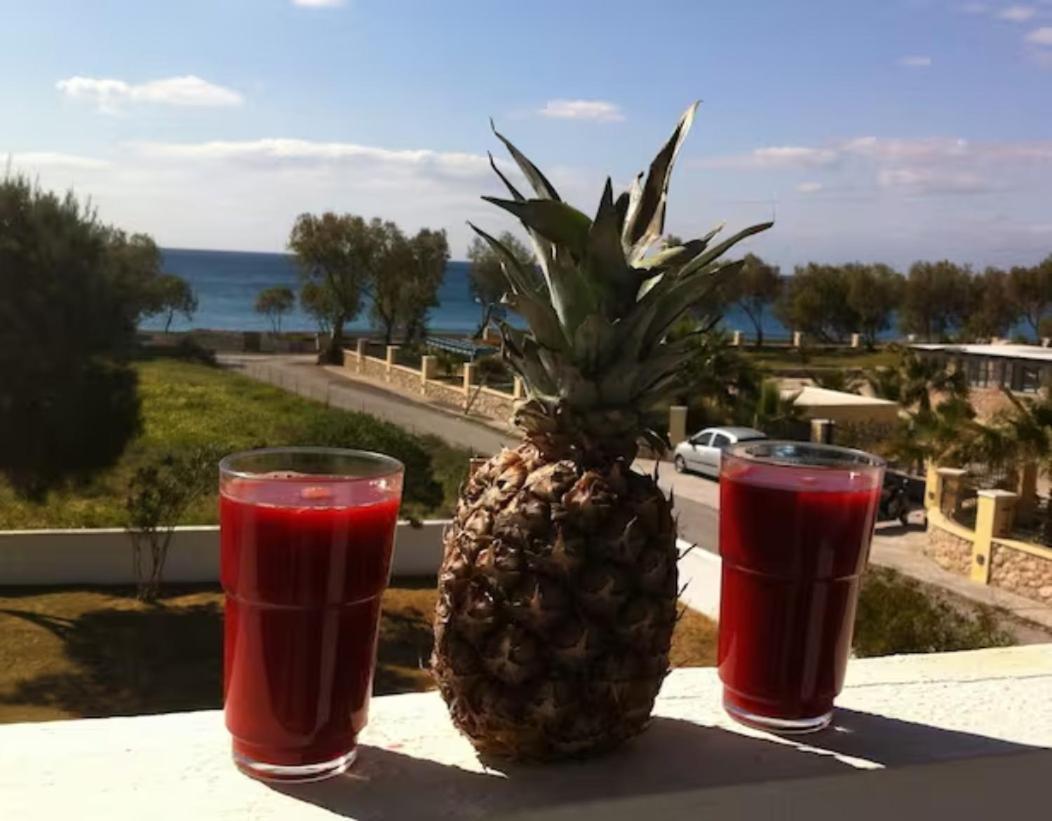 Thalassitis Coastal Apartments Perivolos Zewnętrze zdjęcie
